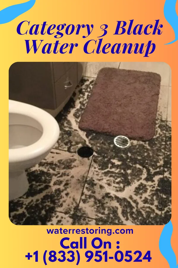 Category 3 Black Water Cleanup in Fairfield, AL